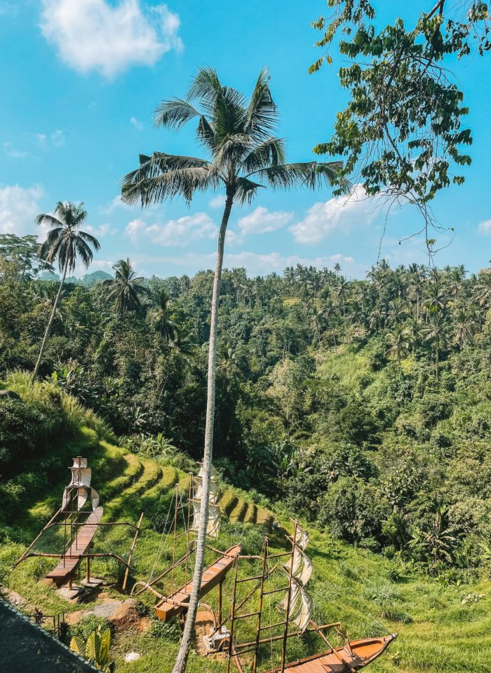 The Best Things to do in Ubud, Bali